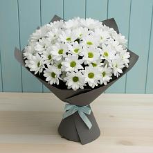 Букет цветов из:  Хризантемы #REPLACE_PRED# Боровичах