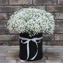 Композиция коробка гипсофил в Боровичах Цветочная композиция из Гипсофила в шляпной коробке в Боровичах